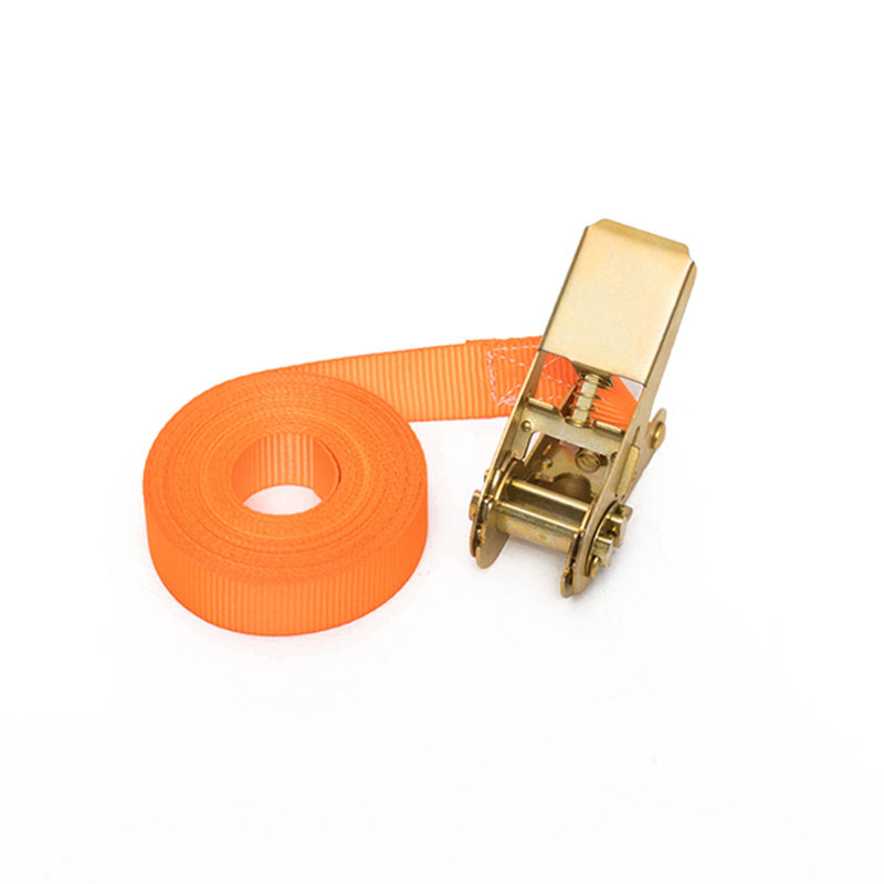 1 tomme 25mm*500 kg/800 kg Endless loop Ratchet Strap